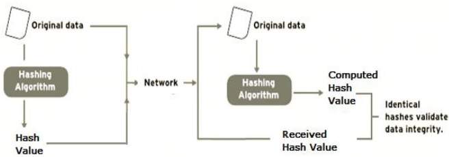 Data Integrity Check